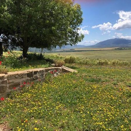 Casa De La Golondrina Villa Tarifa Bagian luar foto